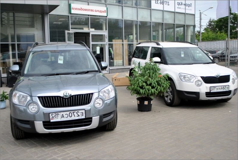 Новгород номера авто. Skoda Великий Новгород. Салон Шкода Великий Новгород. Шкода автосалон Великий Новгород.